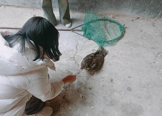 e0c1bb47019700ae4d8b6a963a45e846