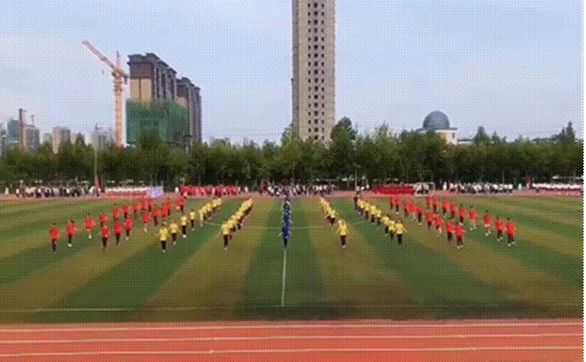 056f4bdb0919d4d4761b797c37148477542e78f5